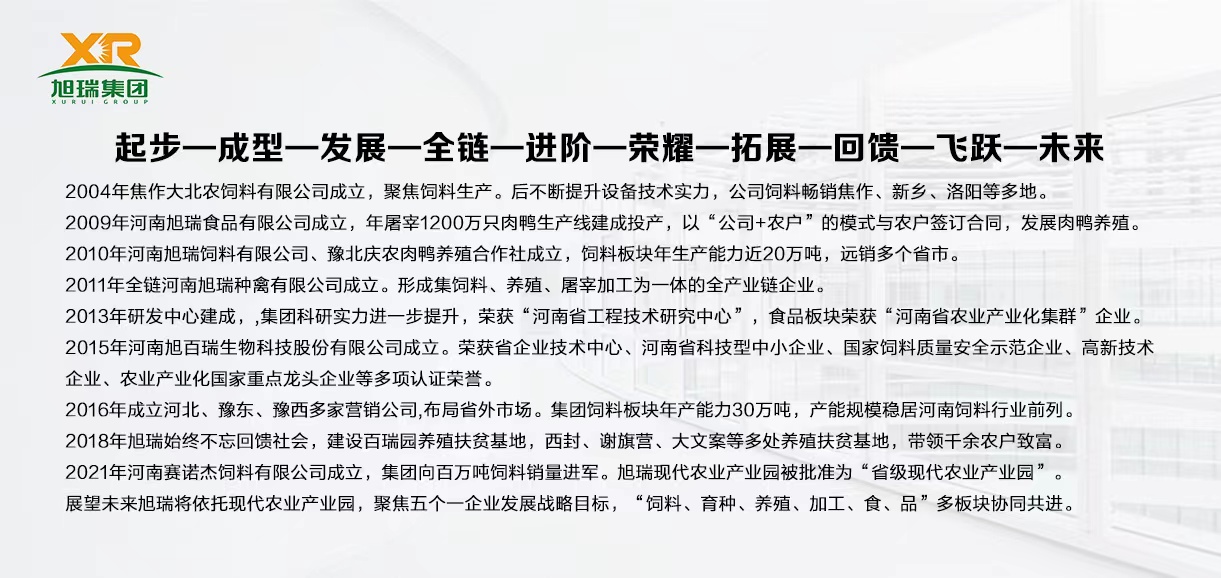 发展历程
