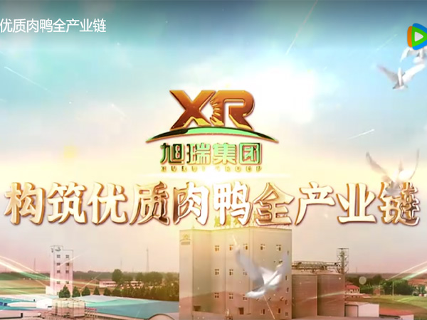 旭瑞集团构筑优质肉鸭全产业链