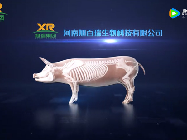 仔猪128生长计划