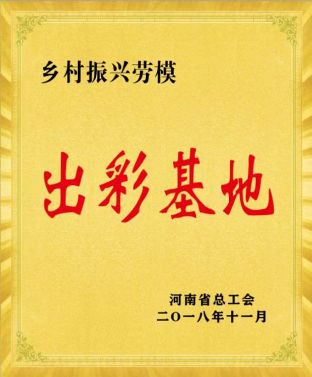 河南省乡村振兴出彩基地