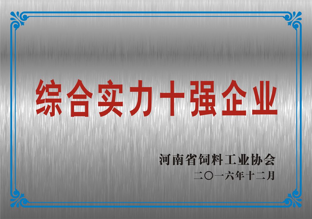 综合实力十强企业6
